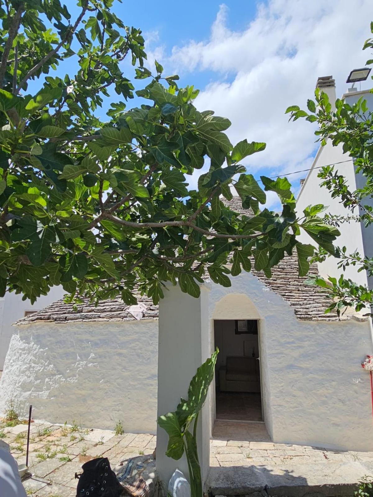 River Trulli Oasi Di Pace In Sito Unesco Alberobello Exterior foto